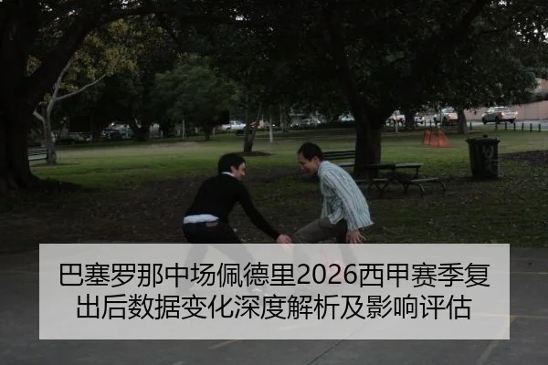 巴塞罗那中场佩德里2026西甲赛季复出后数据变化深度解析及影响评估