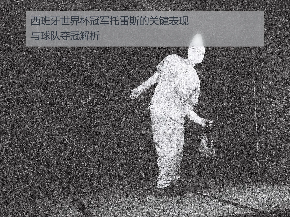 西班牙世界杯冠军托雷斯的关键表现与球队夺冠解析